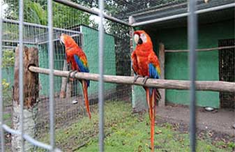 Territorio Animal Racoes E Acessorios - Foto 1