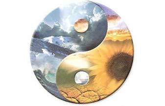 Espaço Zen - Foto 1