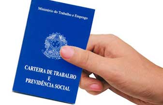 Flavia F A Elias Agência De Empregos - Foto 1