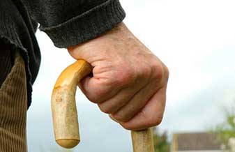 Dr. Maria Jose Martini Martins - Foto 1