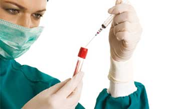 Iara Zaparoli Goncalves - Foto 1