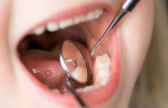 Silvia R M Mateus - Foto 1