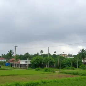 previsão do tempo Barretos