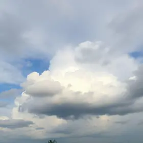 previsão do tempo