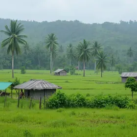 Chuva deixa comunidades rurais isoladas em Barretos, SP