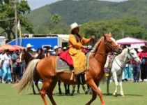 segurança para viajar a Barretos na festa de 2026