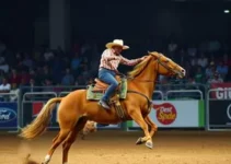 Festa do Peão de Barretos 2026