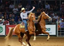 Festa do Peão de Barretos