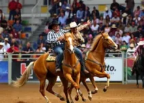 Festa do Peão de Barretos 2026