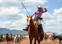 Festa do Peão de Barretos 2026