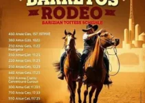 Festa do Peão de Barretos