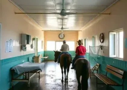 Últimas noticias de Barretos