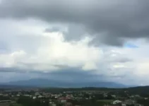 Barretos