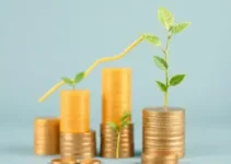 gestão financeira