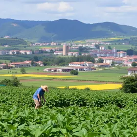 Valor da Produção Agropecuária