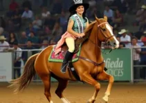 Concurso Rainha de Barretos 2026