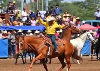 Últimas noticias de Barretos