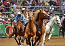 Festa do Peão de Barretos 2026