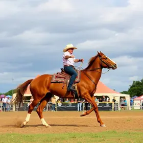 Festa do Peão de Barretos 2026