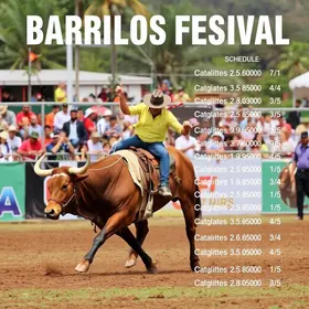 Festa do Peão de Barretos