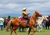 Festa do Peão de Barretos 2026