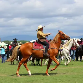Festa do Peão de Barretos 2026