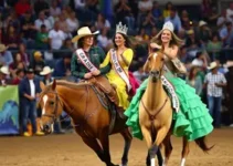 Festa do Peão de Barretos