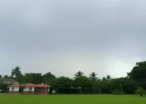 tempo firme Ribeirão Preto