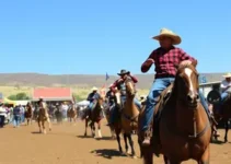Festa do Peão de Barretos