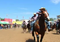 Festa do Peão de Barretos