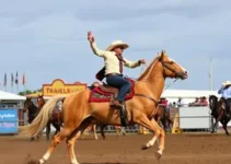 Festa do Peão de Barretos 2026