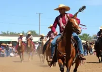 Festa do Peão de Barretos