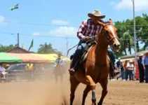 Festa do Peão de Barretos
