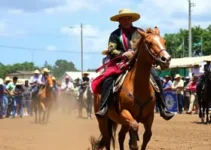 Festa do Peão de Barretos 2026