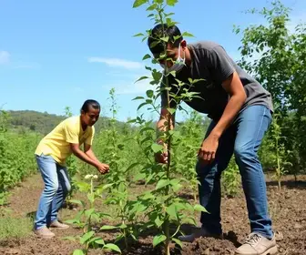Prefeitura do Município de Barretos