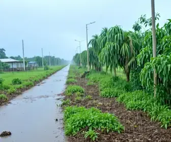 volume de chuva em Barretos